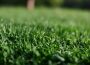 Contact A View Turf today for expert advice and a free quote on DNA Certified Sir Walter Buffalo Grass.